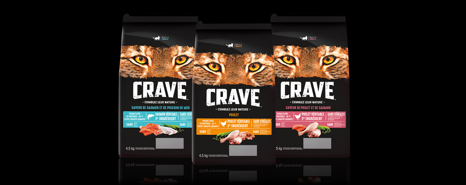 COMMENT DÉCRYPTER LES ÉTIQUETTES DE NOURRITURE POUR CHATS
