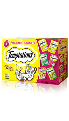 TEMPTATIONS® Variety Pack
