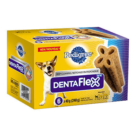 cheshire cat mini backpack