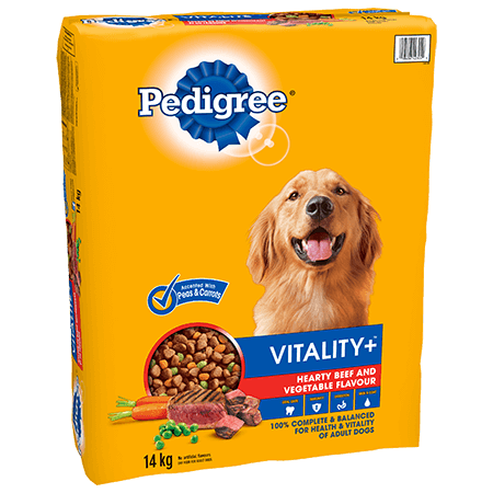 maltese and dachshund