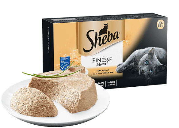 sheba finesse mousse
