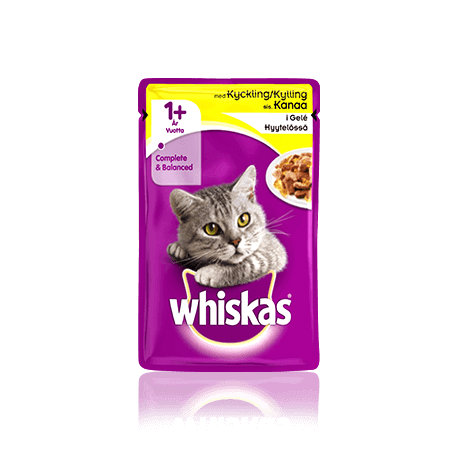 Whiskas® 1+ Kylling i gelé