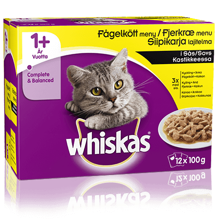 Whiskas® 1+ Siipikarja Kastikkeessa 12x100g