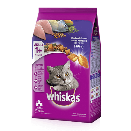 Mackerel Dry Cat Food from Whiskas for Adult 1+ Cats