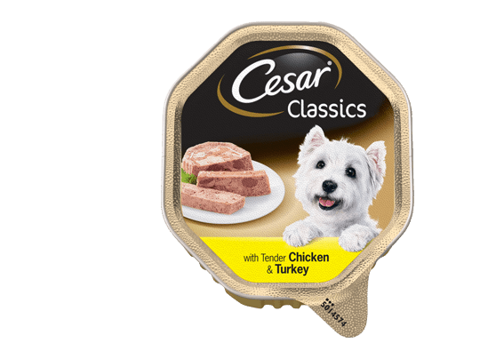 The CESAR Range