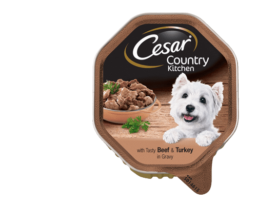The CESAR Range