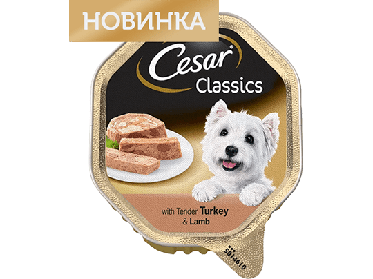 The CESAR Range