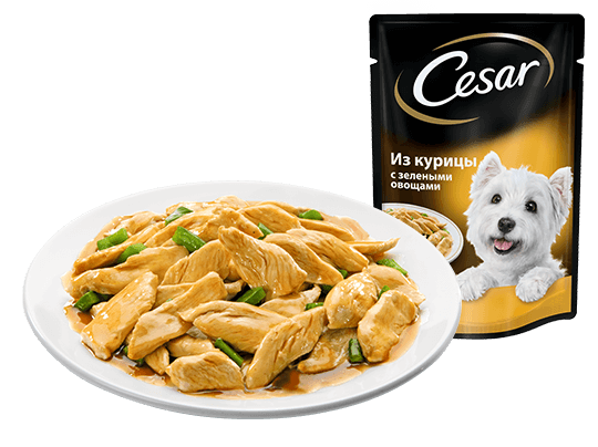 The CESAR Range