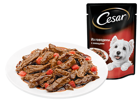 The CESAR Range