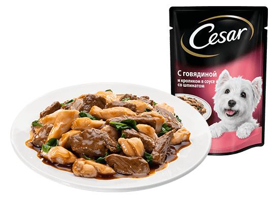 The CESAR Range