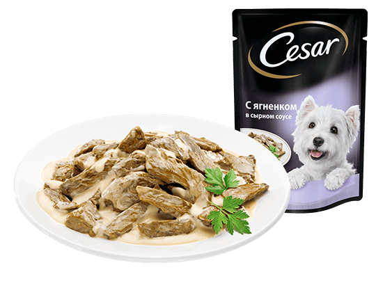 The CESAR Range