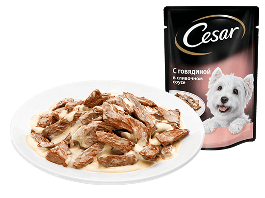 The CESAR Range