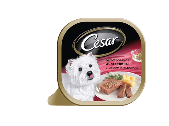 The CESAR Range