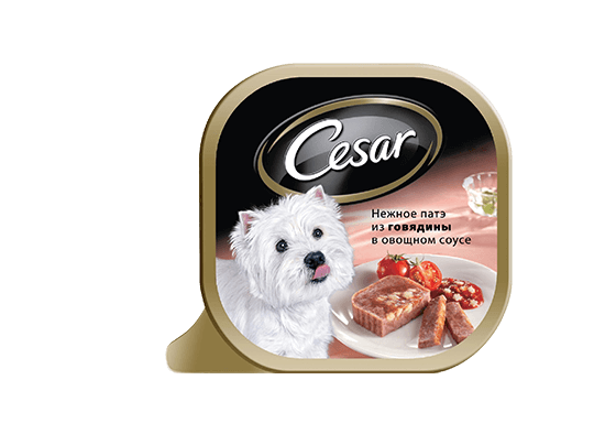 The CESAR Range