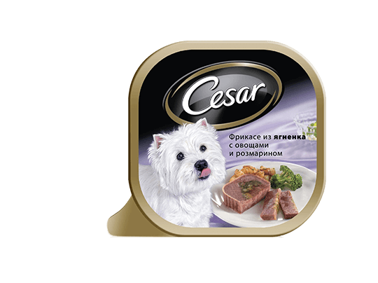 The CESAR Range
