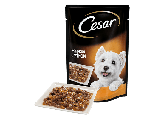 The CESAR Range