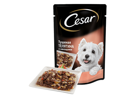 The CESAR Range