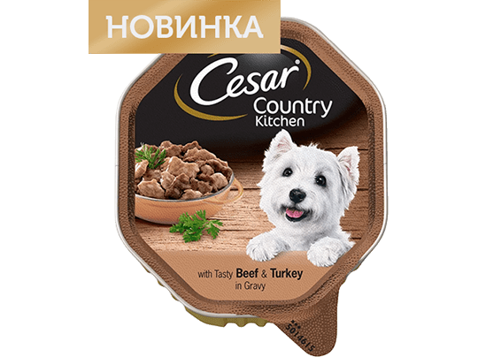 The CESAR Range