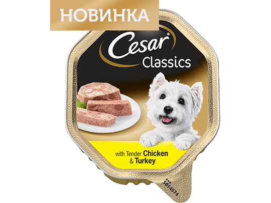 The CESAR Range