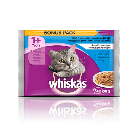 Whiskas Ribji izbor v želeju 1+ 4 x 100 g