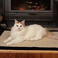 Baka Kucing Van Turki (Turkish Van)