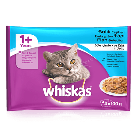 WHISKAS Pouch Balık Çeşitleri Jöle İçinde