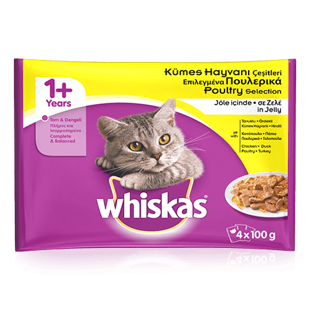 WHISKAS Pouch Kümes Hayvanı Çeşitleri Jöle İçinde Tavuklu & Ördekli & Kümes Hayvanlı & Hindili