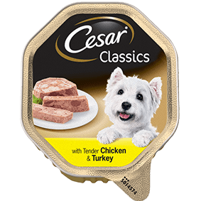 walmart neighborhood market dog food