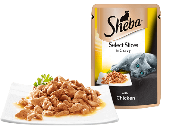 Amazon Cat Food Sheba Amazon Cat Food Sheba