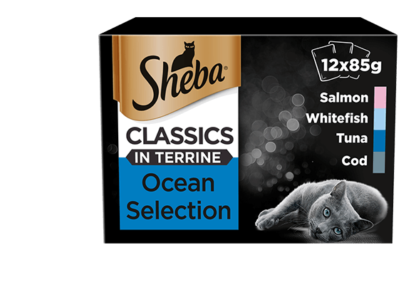 sheba chicken terrine