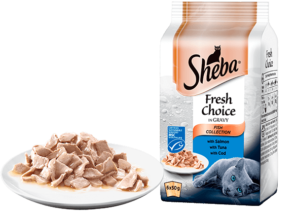 golden retriever x french bulldog