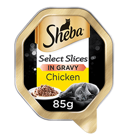 sheba cat food trays