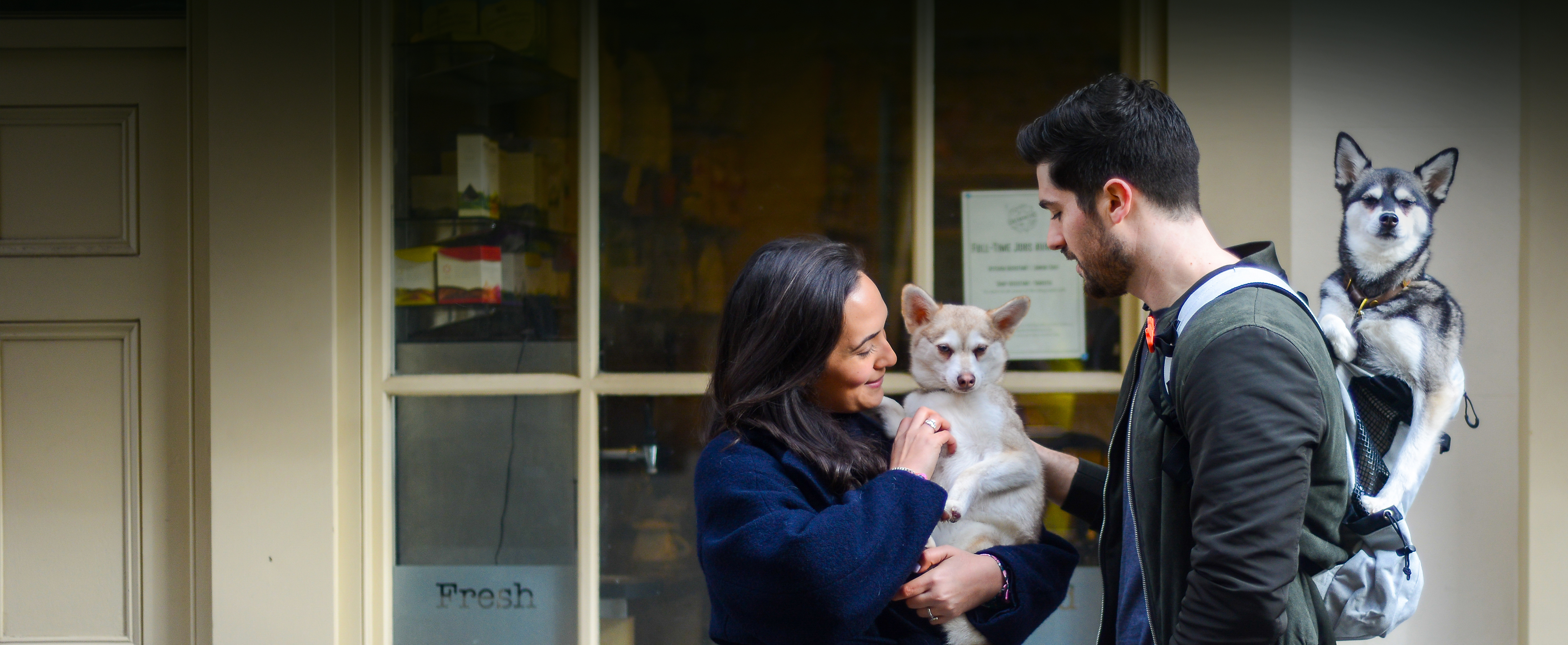Waggel Pet Insurance