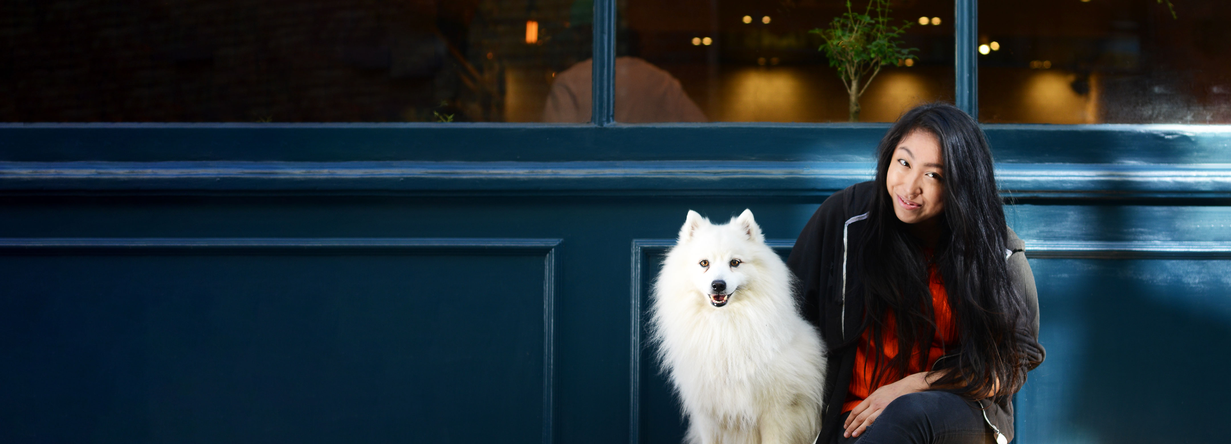 Waggel Pet Insurance