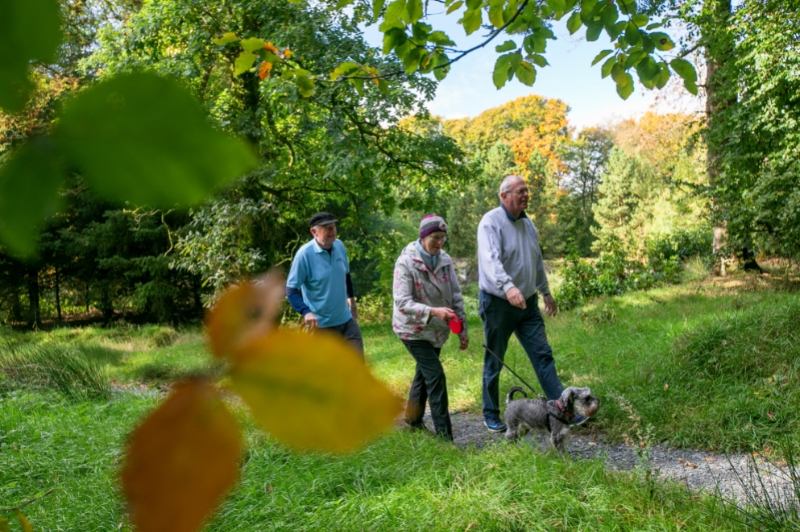 A walkers ultimate guide to exploring Belfast WalkNI