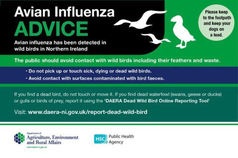 Important Notice for Walkers Bird Influenza Detected in Northern