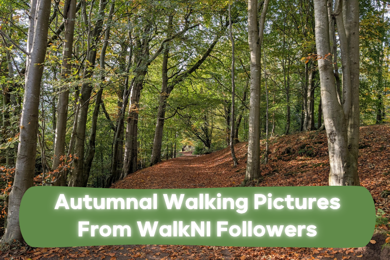 Autumnal Pictures from WalkNI followers