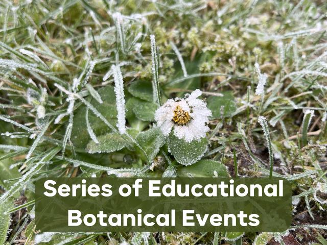 BSBI Training Workshops: Kick Start Your Botanical Journey in 2025