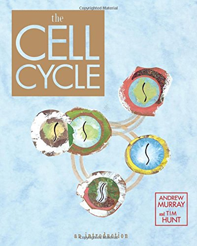 Thumbnail {i + 1}