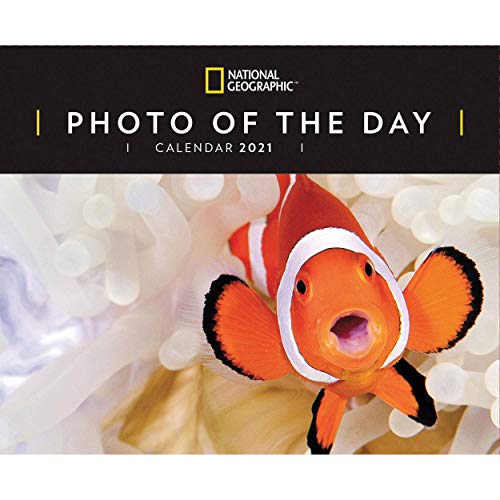 National Geographic Photo of The Day Desk Calendar 2021 for sale online