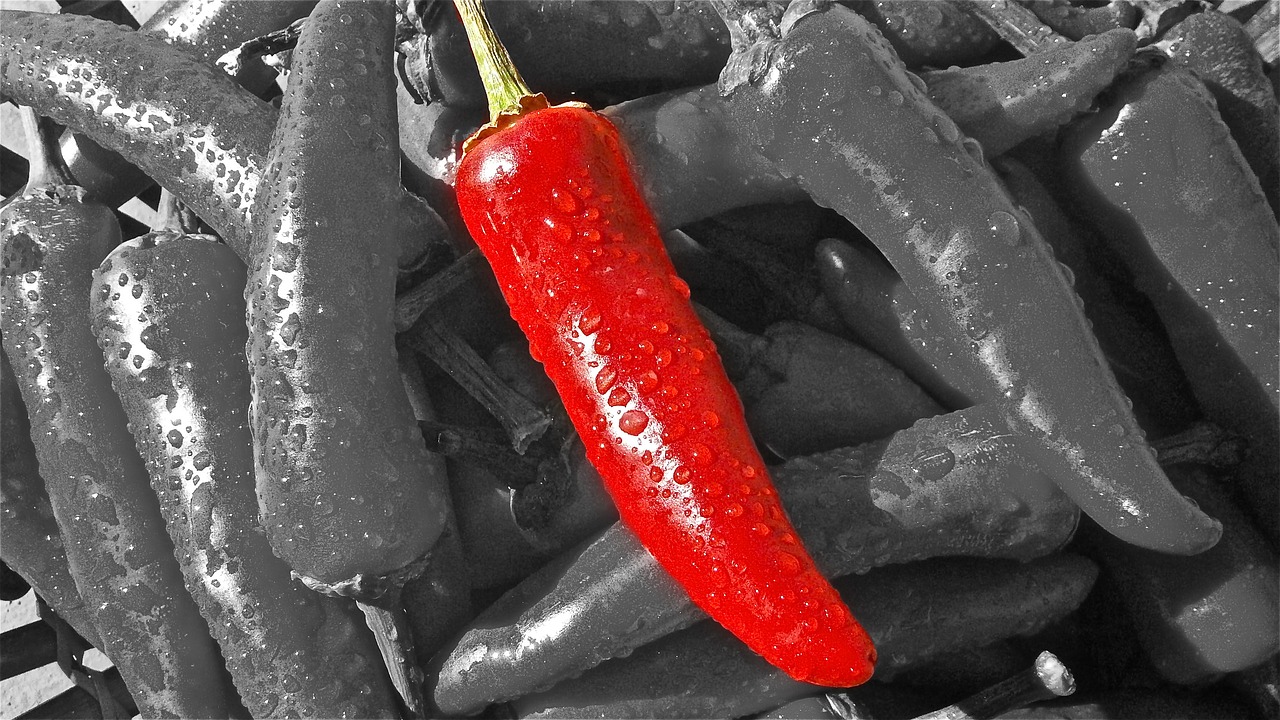 chili-hot Jobs