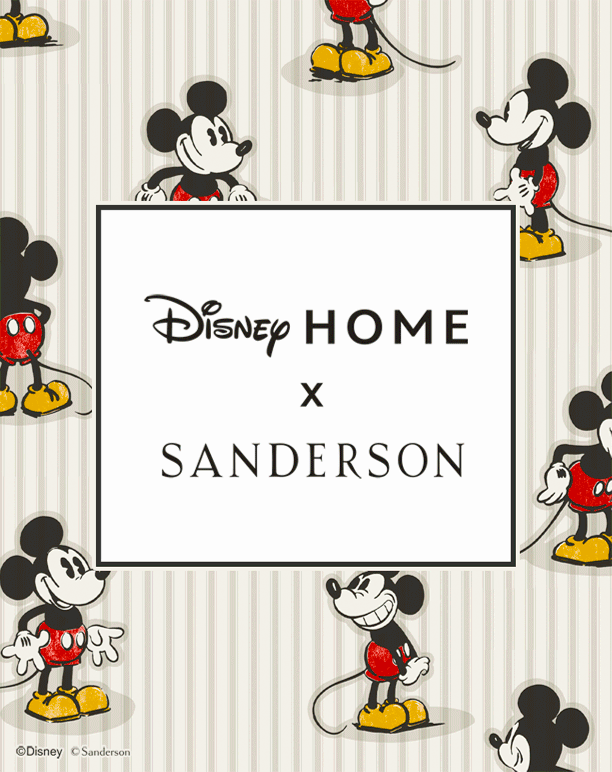 Nouveautés : Disney Home X Sanderson