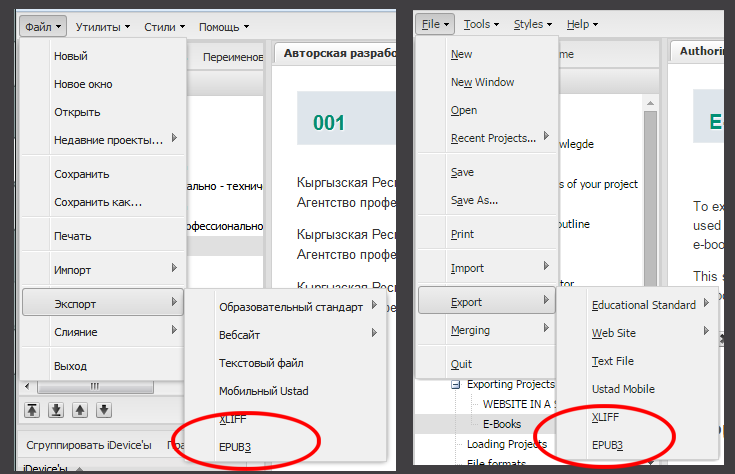 e-book export menu