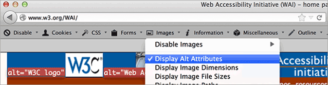Display Alt Attributes