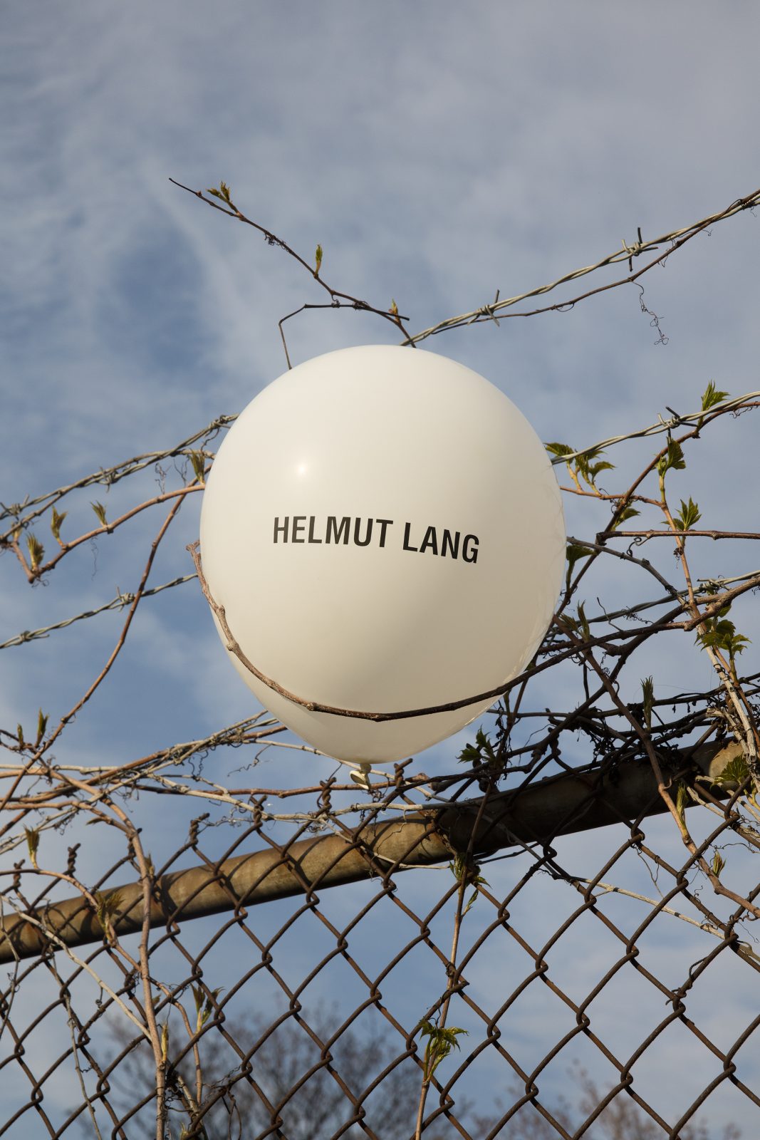 Helmut Lang