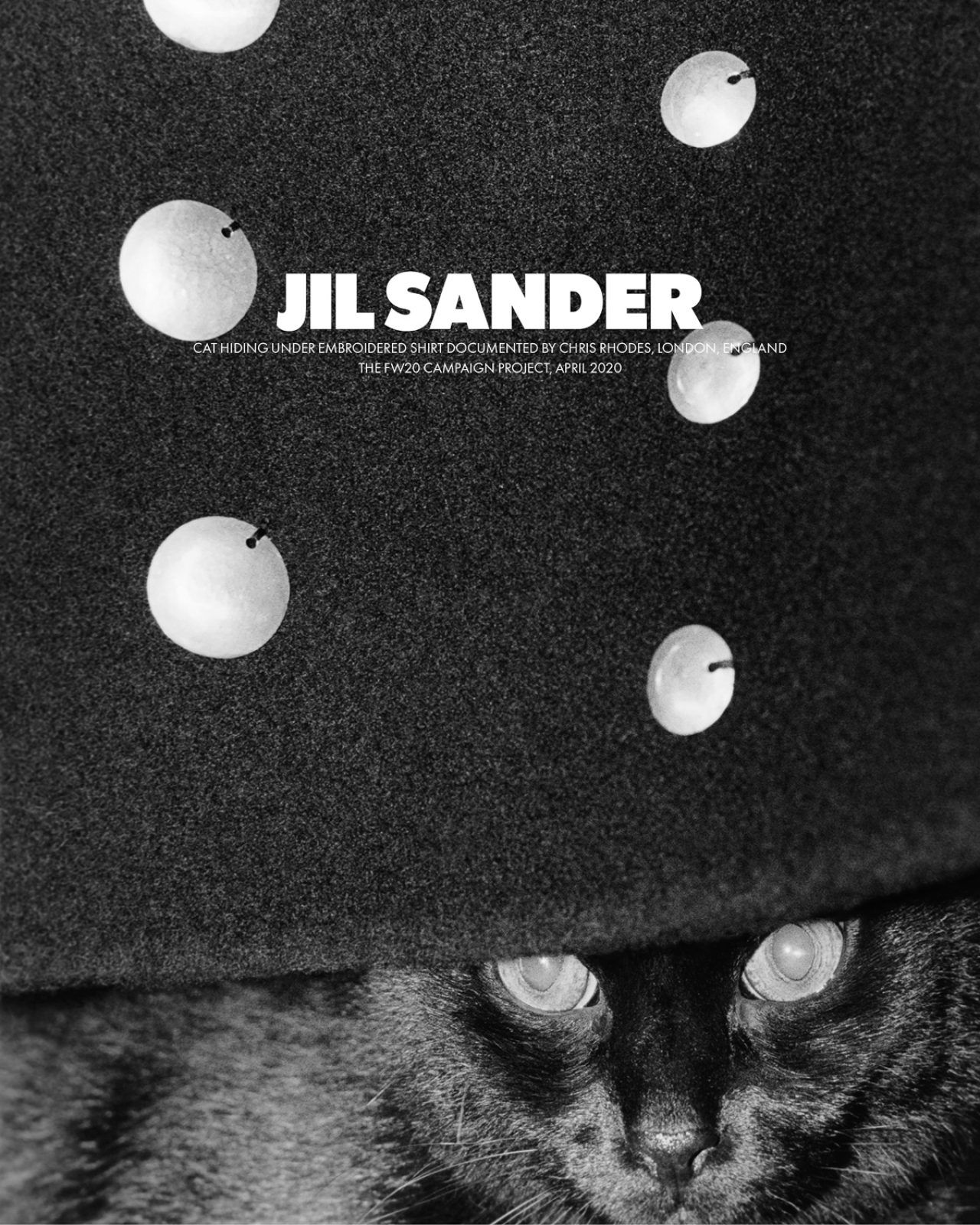 Jil Sander