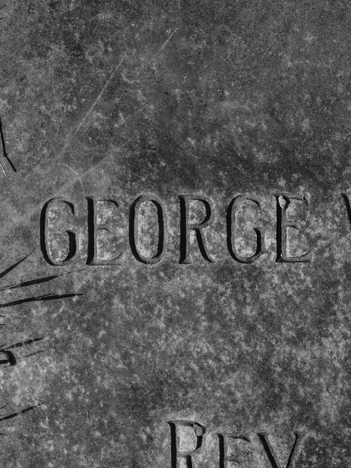 Meetka Otto, George / Georgia