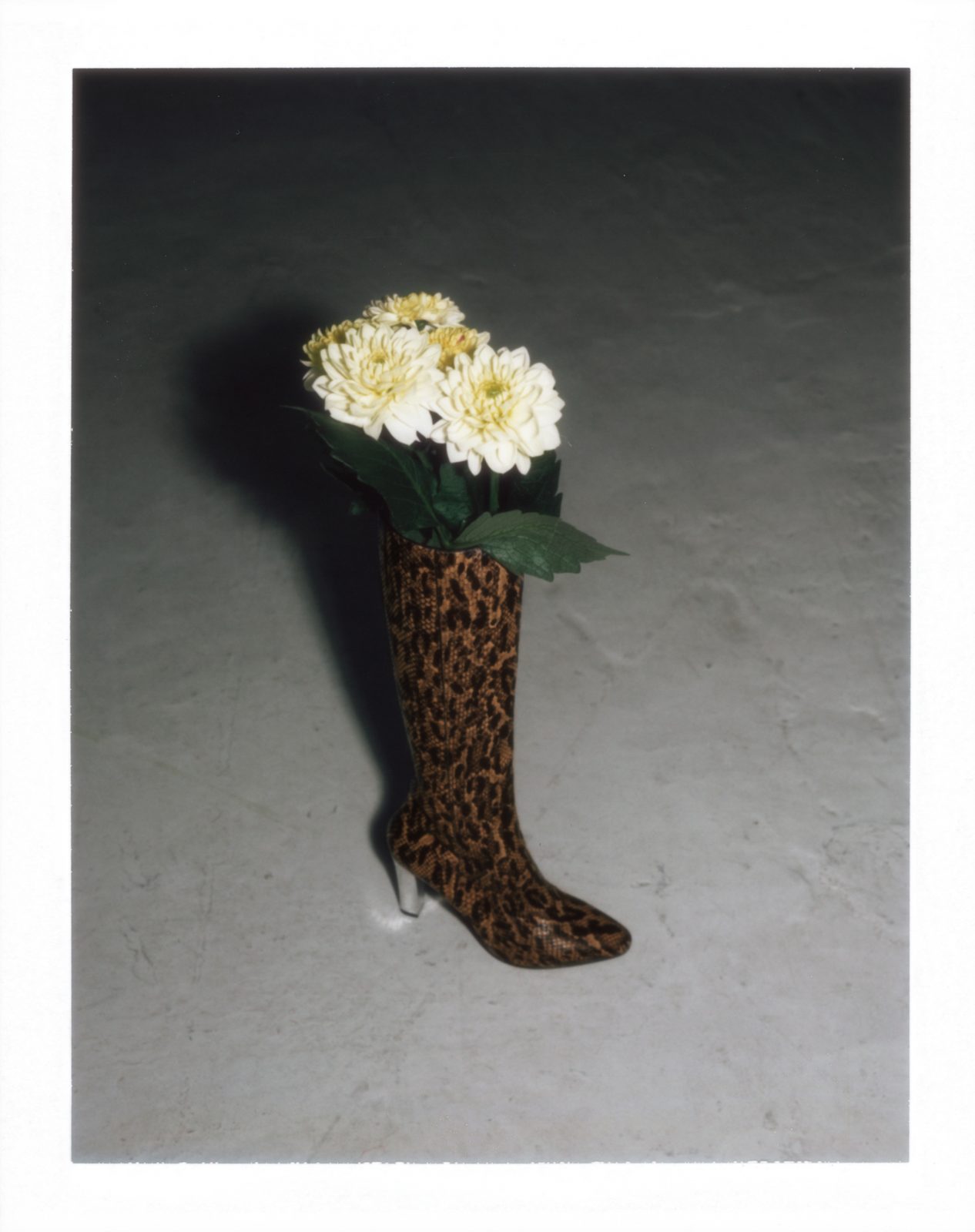 AnOther Loves, Photography by Chris Rhodes
