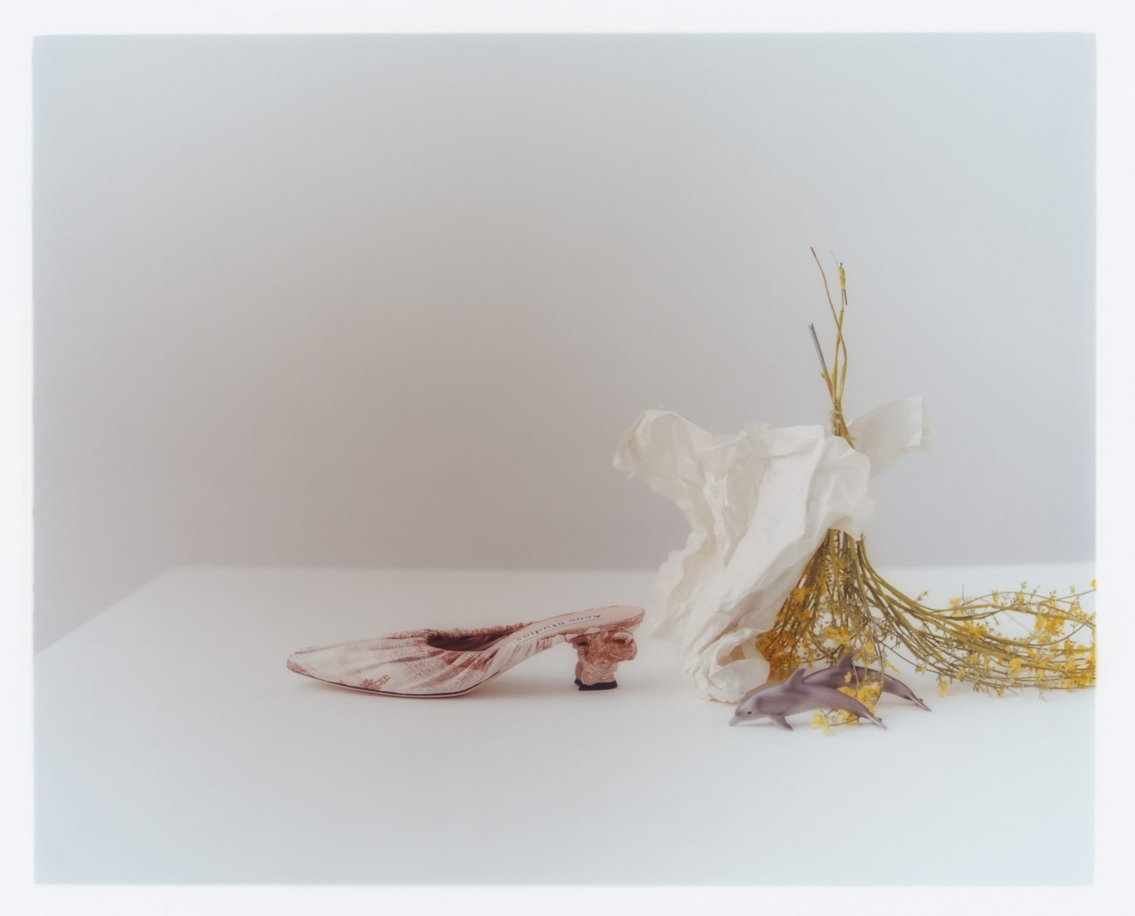 Rika, Photography by David Abrahams