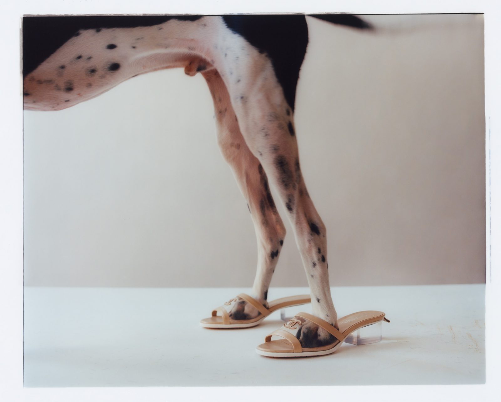 Rika, Photography by David Abrahams
